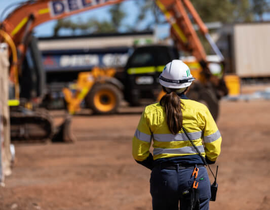 NPI Building Services