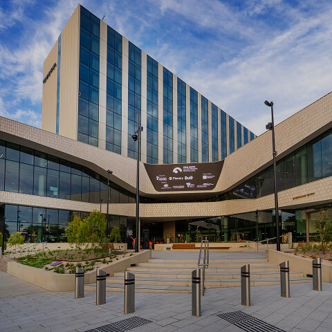Photo of landscaping outside a building